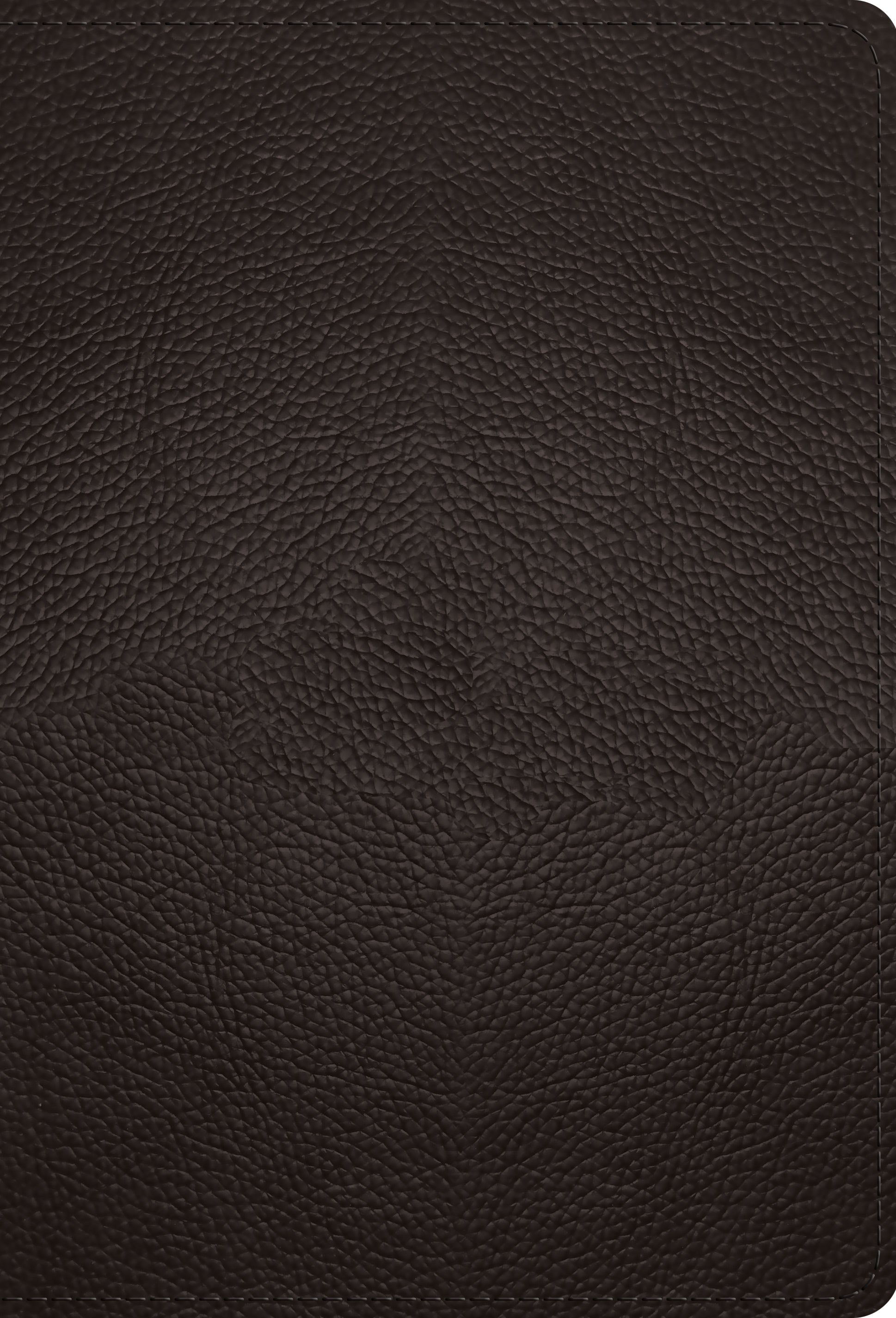 ESV Large Print Compact Bible Deep Brown (Red Letter Edition)