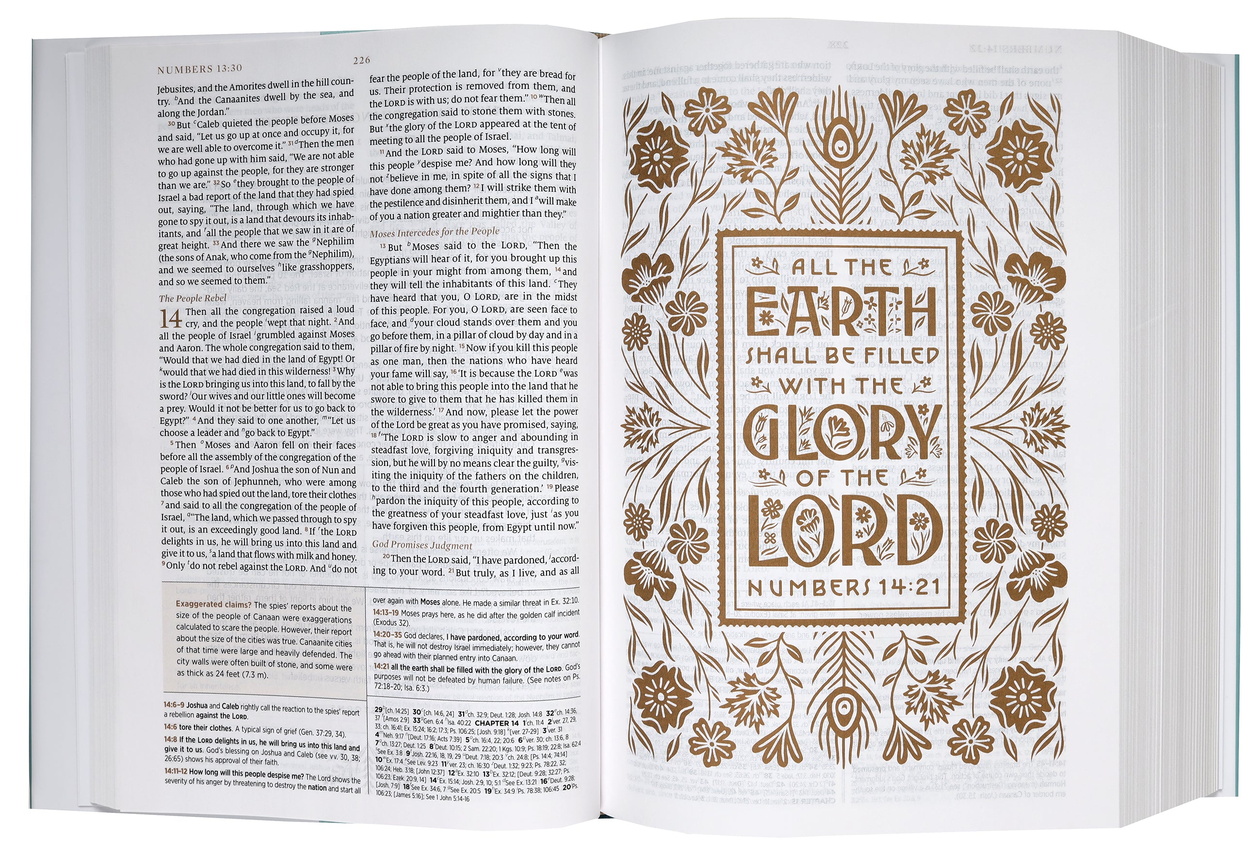 ESV Women's Study Bible Deep Brown (Black Letter Edition)