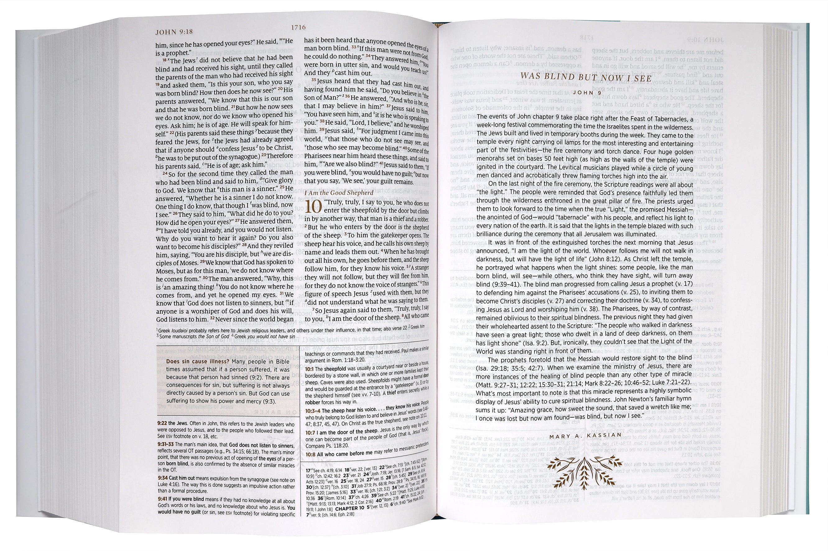 ESV Women's Study Bible Deep Brown (Black Letter Edition)