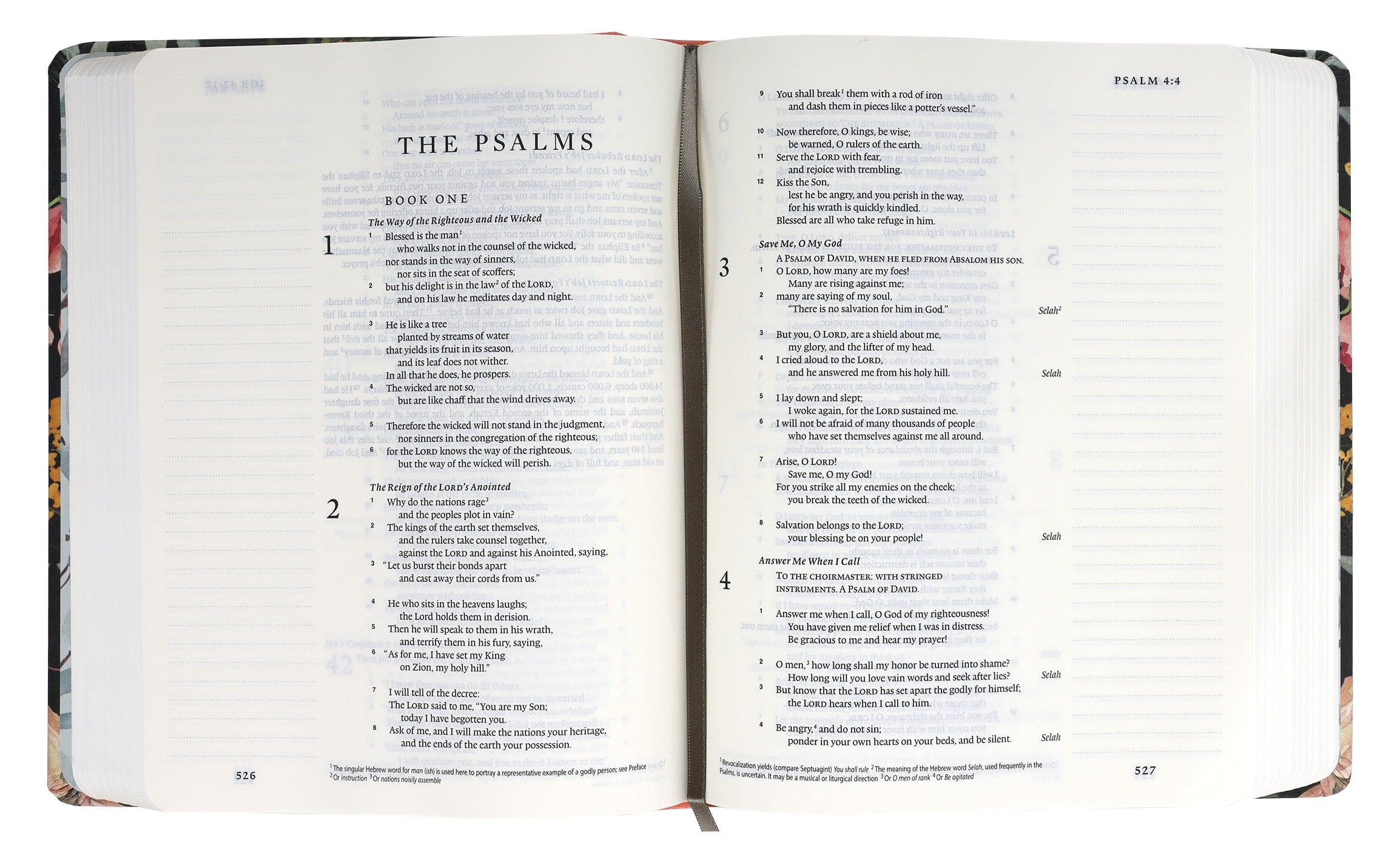 ESV Artist Series Journaling Bible (Black Letter Edition) (Ruth Chou Simons, Be Transformed) (2nd Edition)