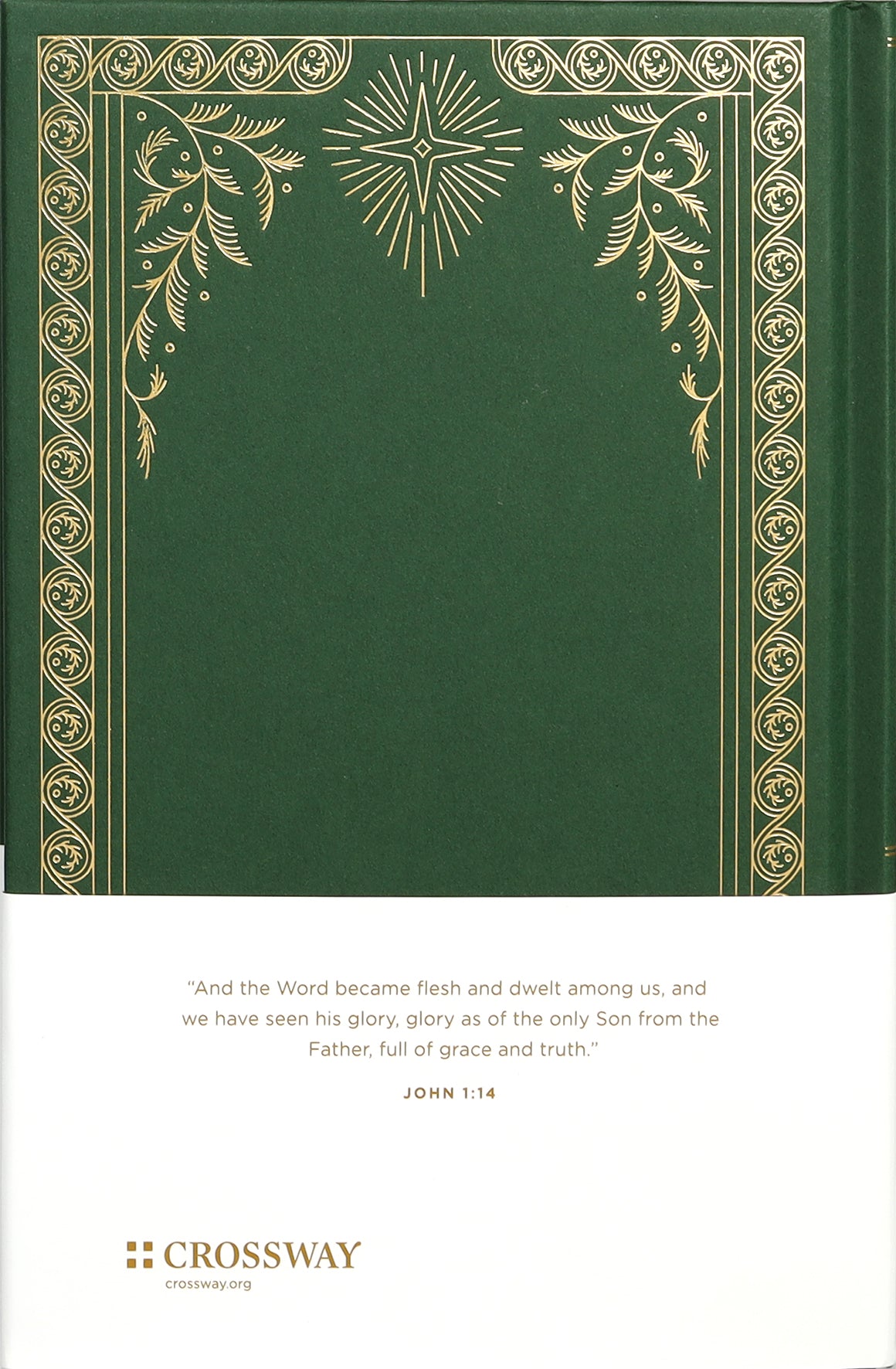 Come, Thou Long-Expected Jesus: Experiencing the Peace and Promise of Christmas