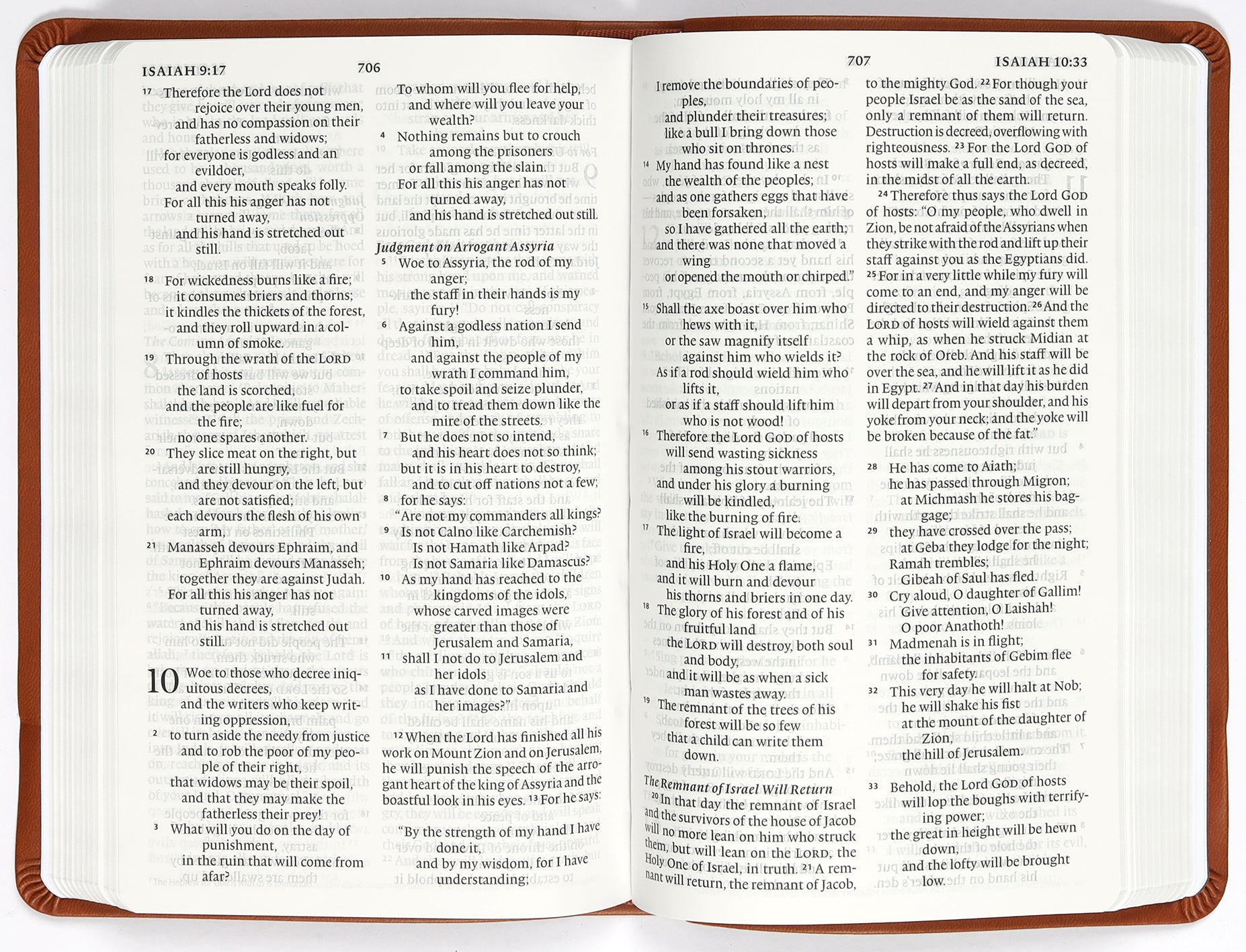 ESV Large Print Value Thinline Bible Camel