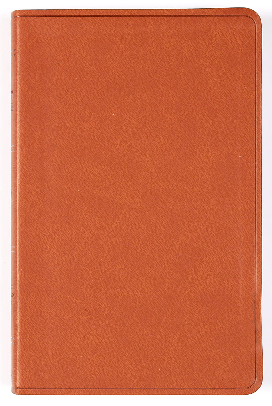 ESV Large Print Value Thinline Bible Camel