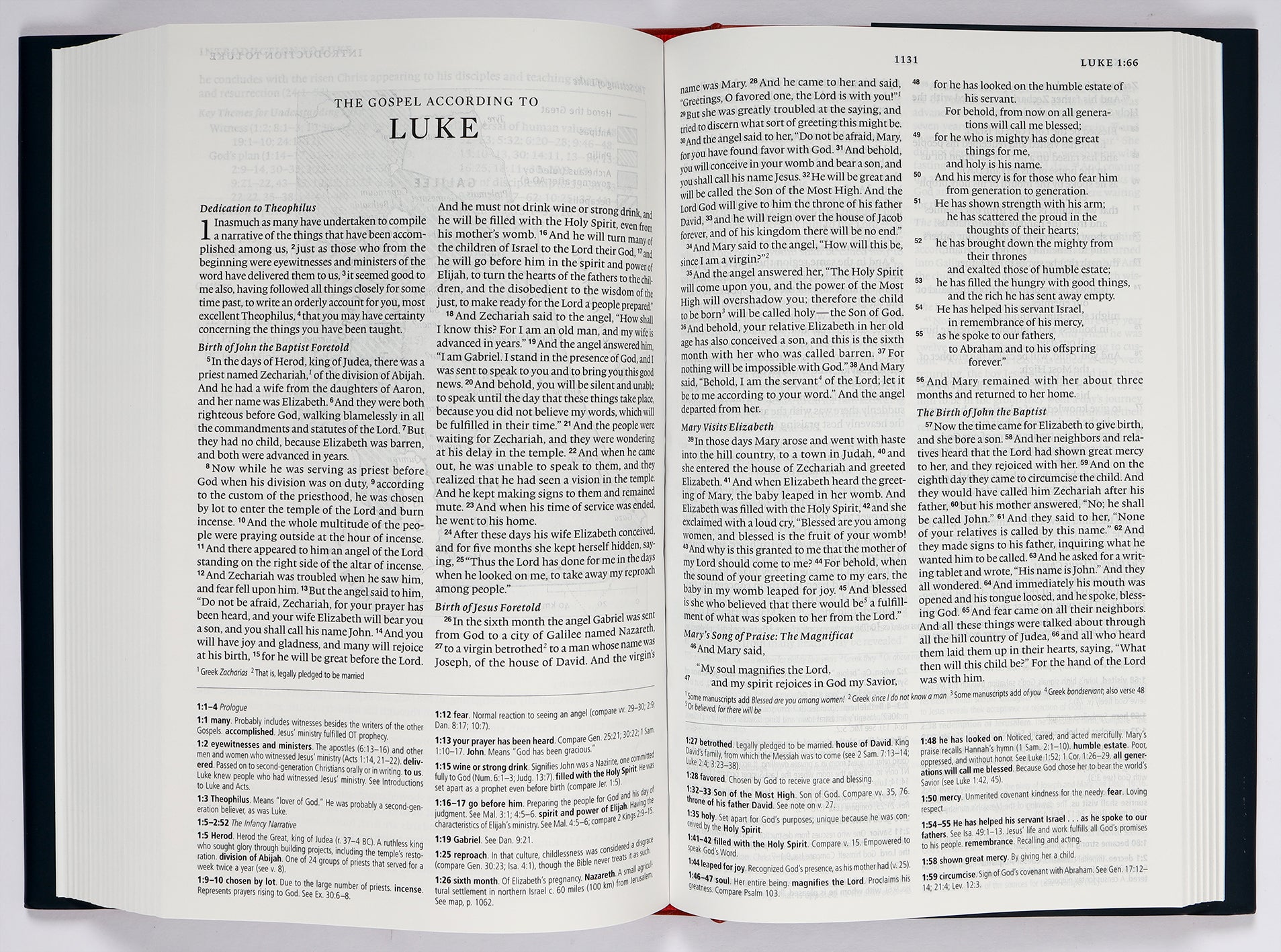 ESV Concise Study Bible (Black Letter Edition)
