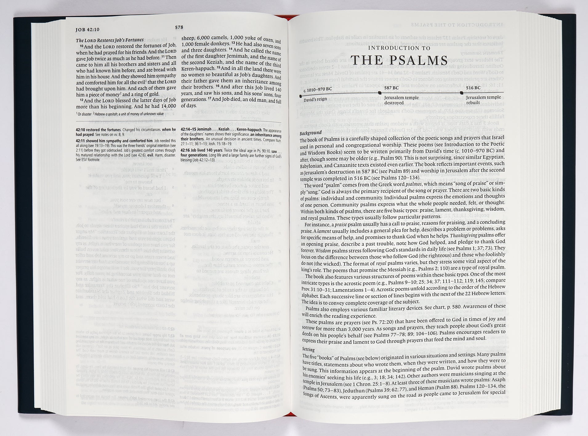 ESV Concise Study Bible (Black Letter Edition)