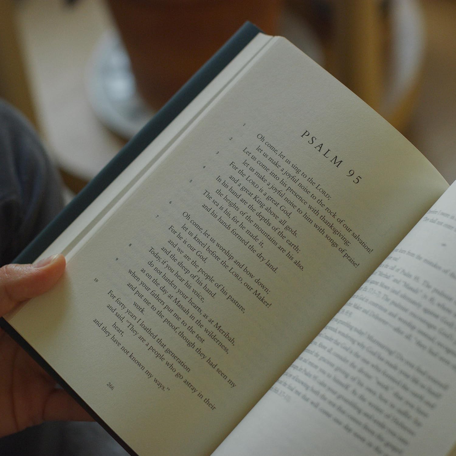 In the Lord I Take Refuge: 150 Daily Devotions Through the Psalms