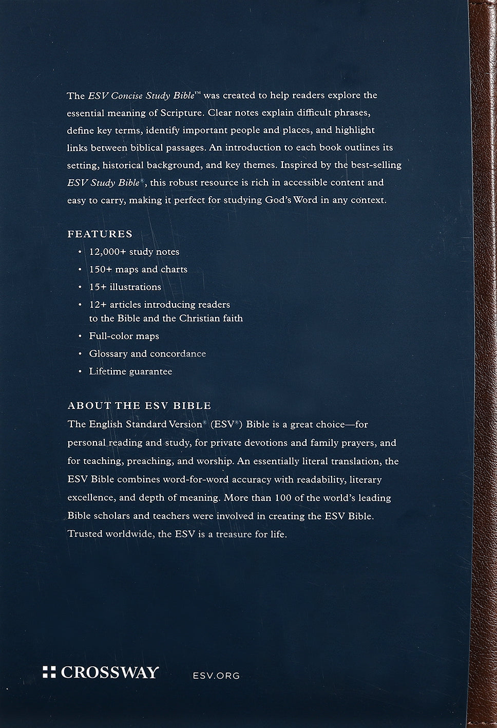 ESV Concise Study Bible Brown (Black Letter Edition)