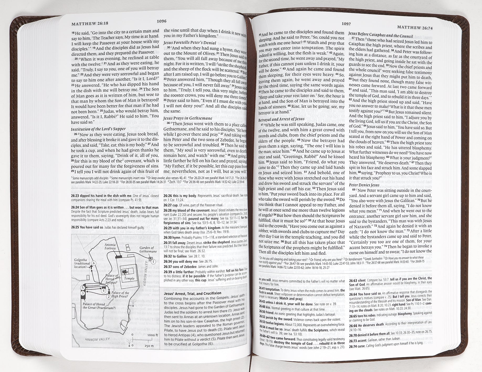 ESV Concise Study Bible Brown (Black Letter Edition)