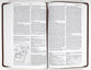 ESV Concise Study Bible Brown (Black Letter Edition)