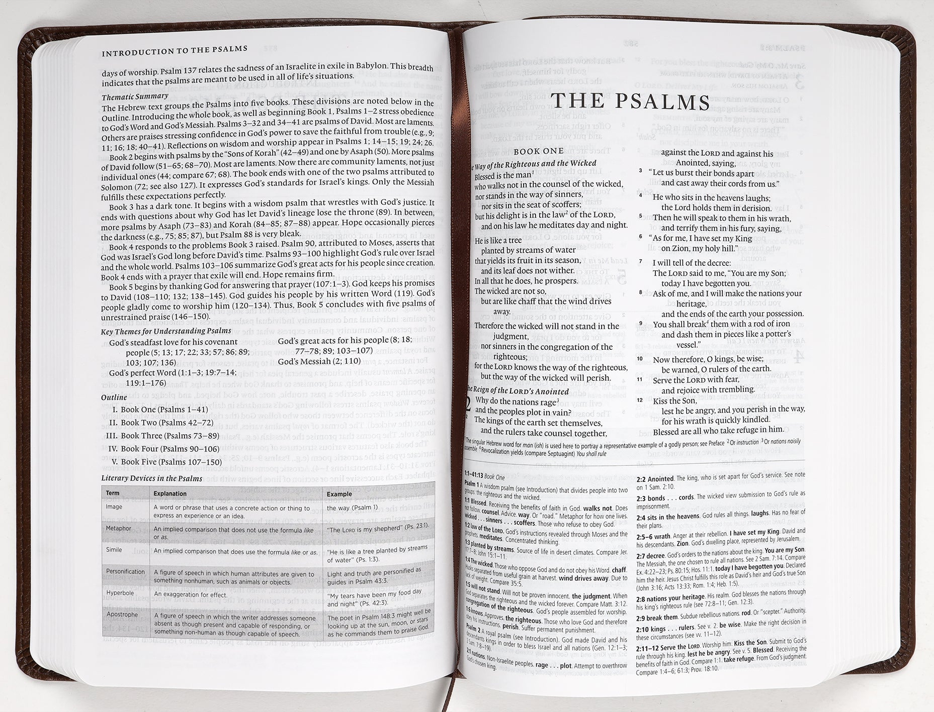 ESV Concise Study Bible Brown (Black Letter Edition)