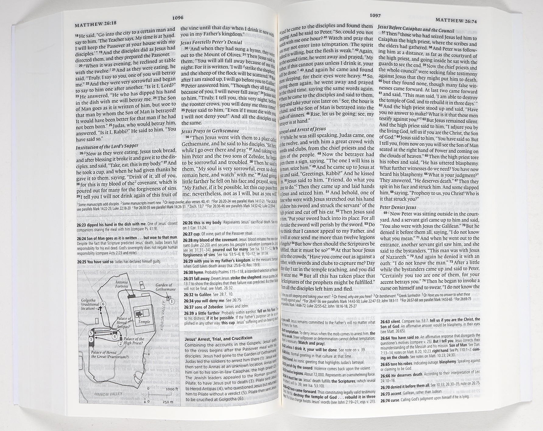 ESV Concise Study Bible Economy Edition (Black Letter Edition)