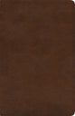 ESV Spanish/English Parallel Bible Brown (Black Letter Edition) (La Santa Biblia Rvr / The Holy Bible Esv)