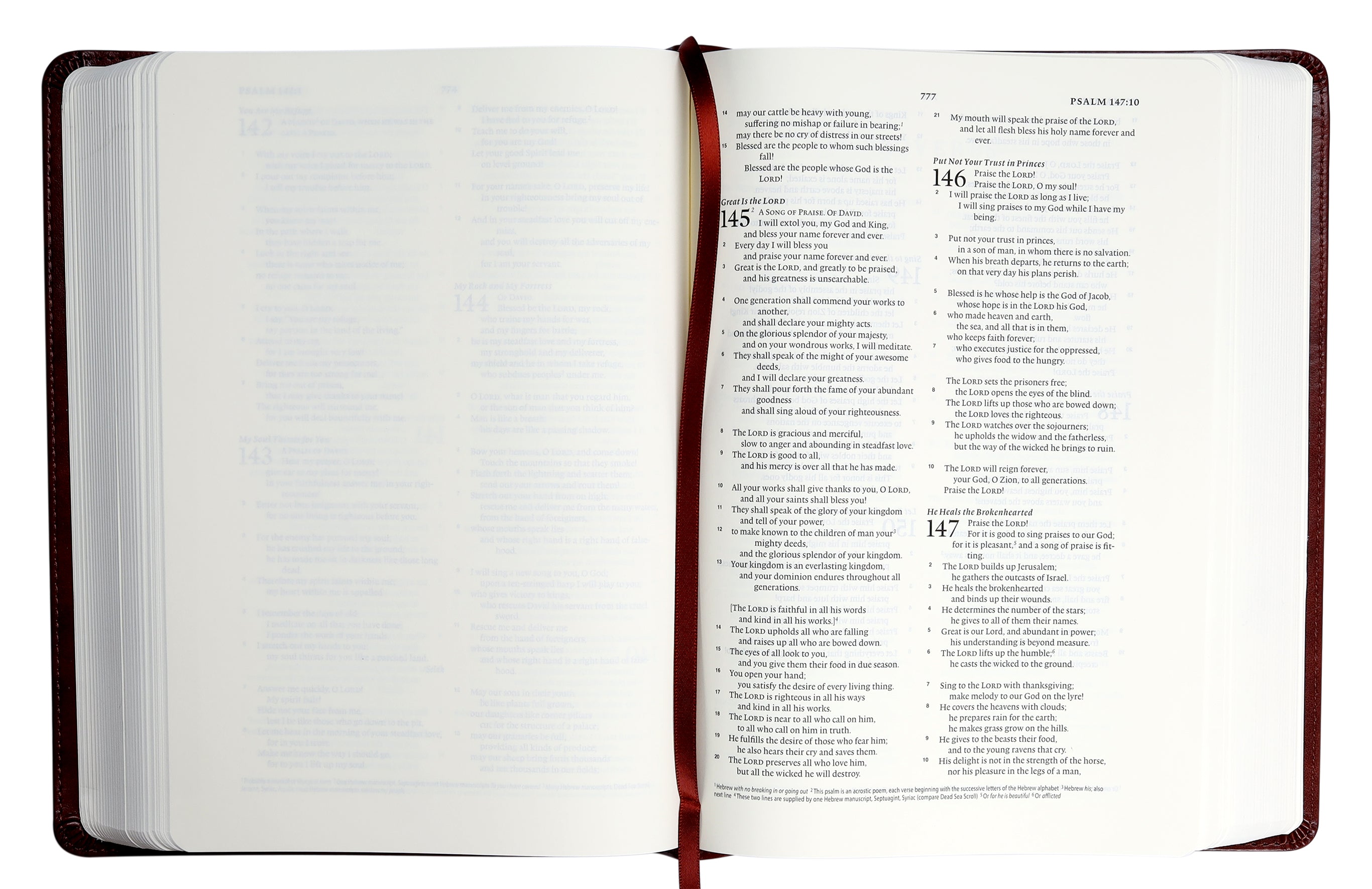 ESV Journaling Bible Interleaved Edition Mahogany Mosaic Cross Design