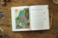 The Biggest Story Curriculum (Box Set, Ages 5-10) (The Biggest Story Curriculum Series)