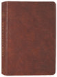 ESV Men's Study Bible Trutone Brown
