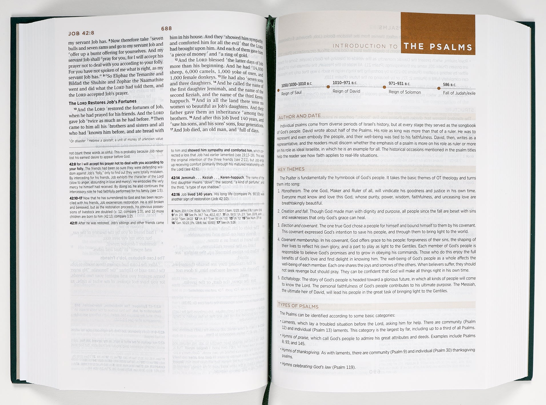 ESV Student Study Bible Artist Series Joshua Noom, I Am