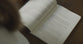 Prayer Journal - ESV: 30 Days on Humility