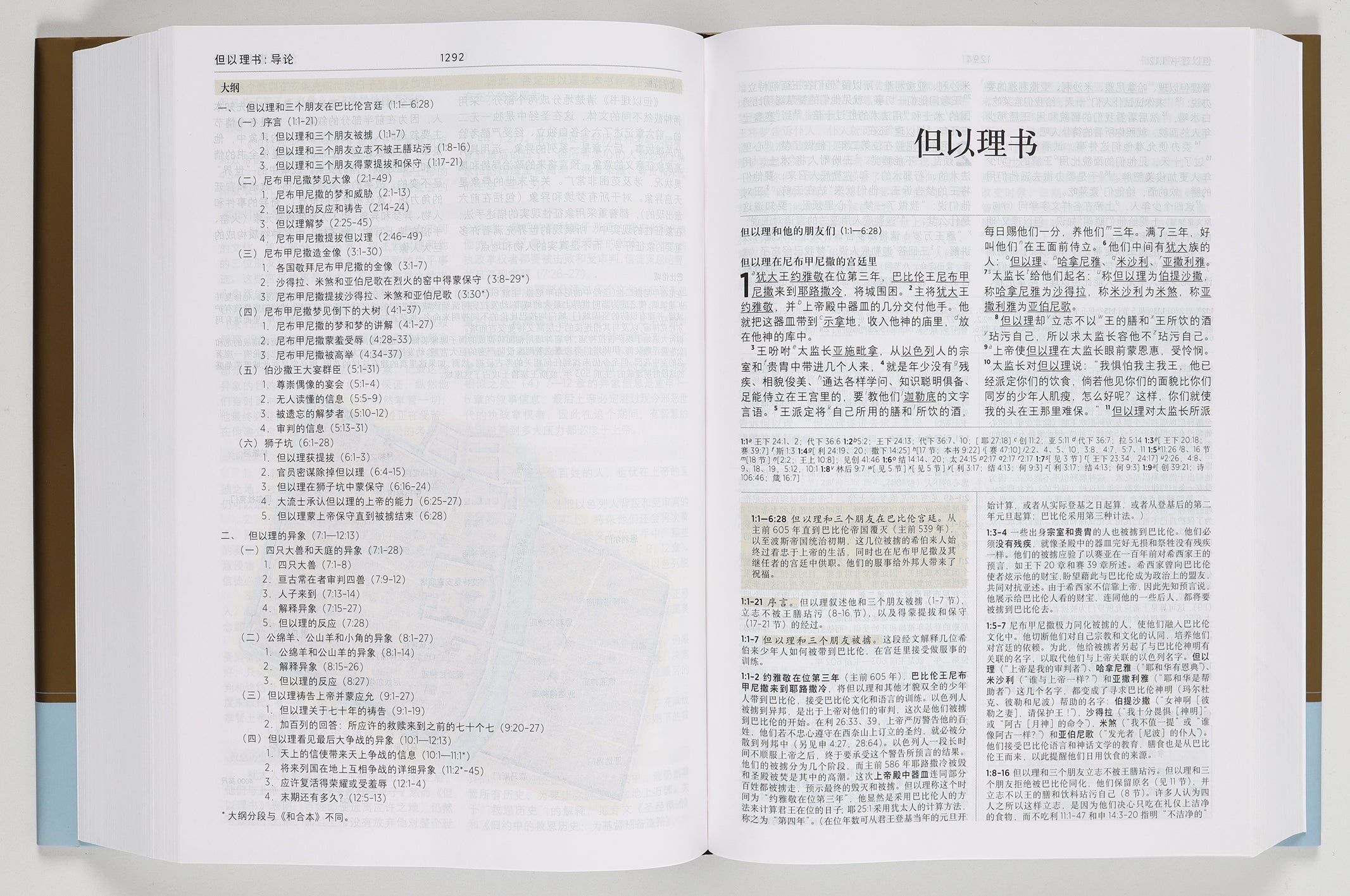 Chinese Study Bible with Content from the ESV Study Bible Translated By United Bible Societies) (新标点和合本 - Chinese Union Version with New Punctuation, CUVNP)