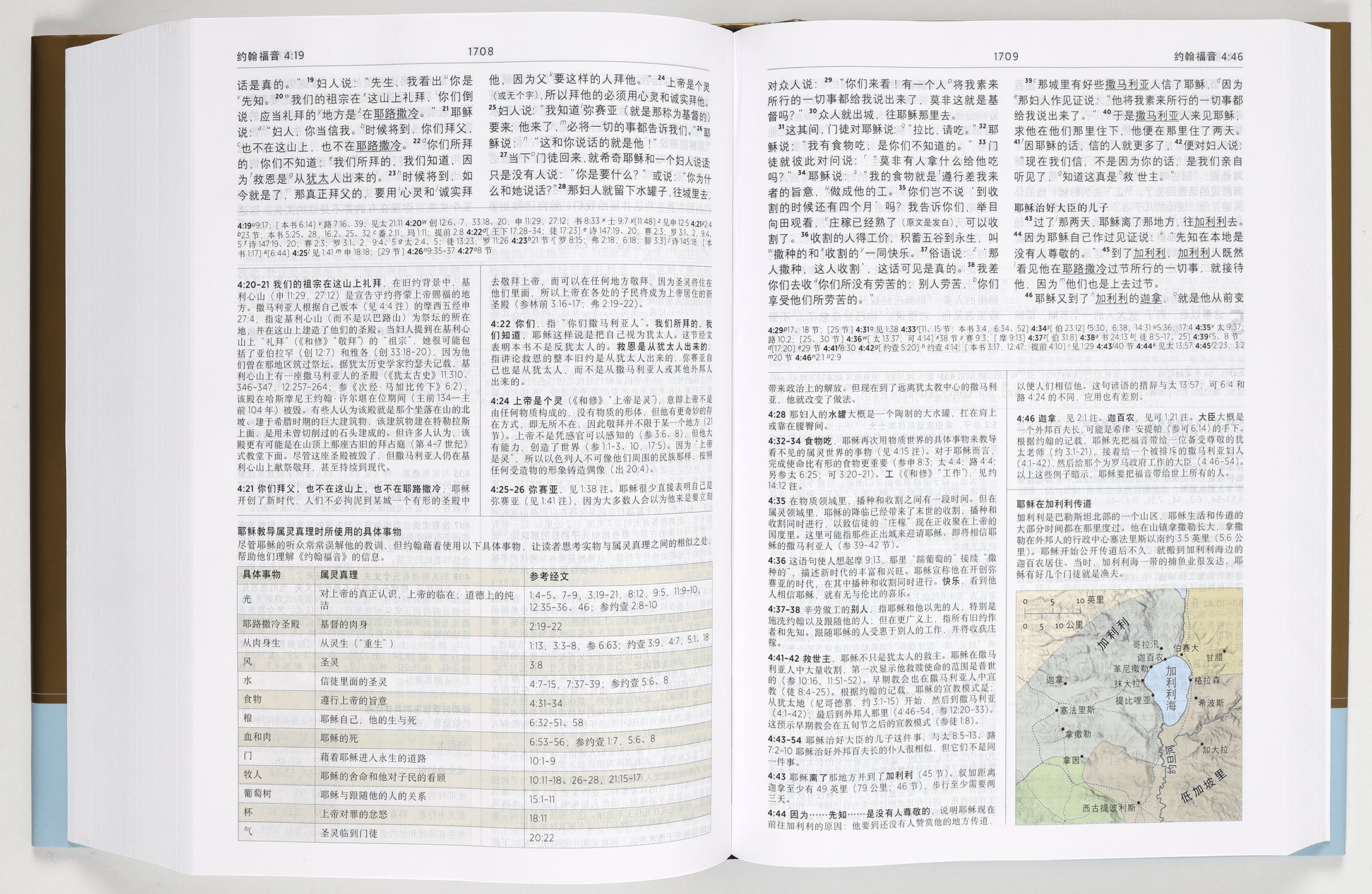 Chinese Study Bible with Content from the ESV Study Bible Translated By United Bible Societies) (新标点和合本 - Chinese Union Version with New Punctuation, CUVNP)