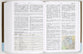Chinese Study Bible with Content from the ESV Study Bible Translated By United Bible Societies) (新标点和合本 - Chinese Union Version with New Punctuation, CUVNP)