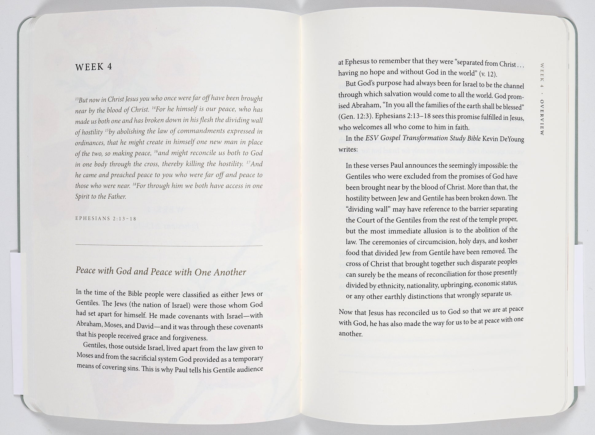 Prayer Journal - ESV: 30 Days on Peace