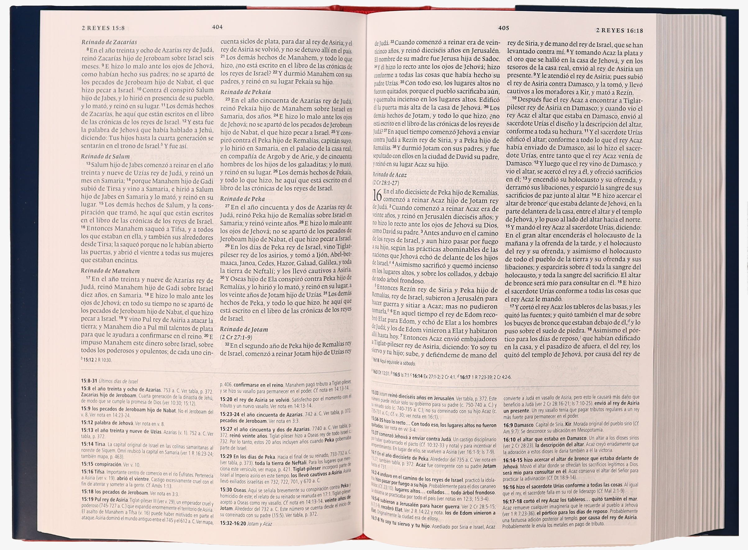 Rvr Biblia De Estudio Concisa (Black Letter Edition) (Concise Study Bible)