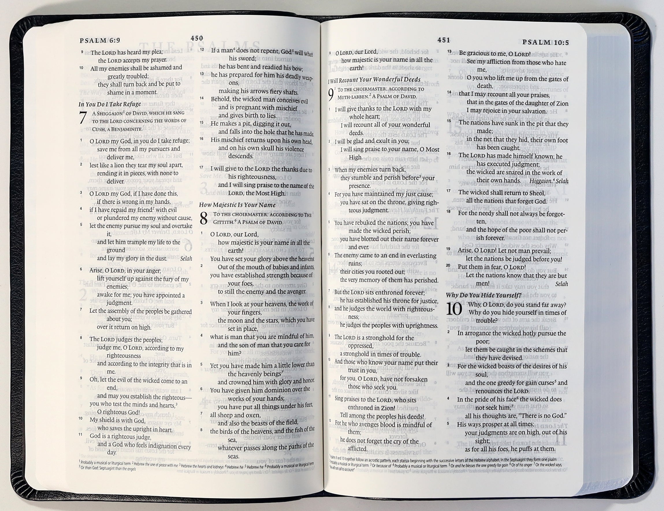 ESV Premium Gift Bible Navy Mosaic Cross Design (Black Letter Edition)