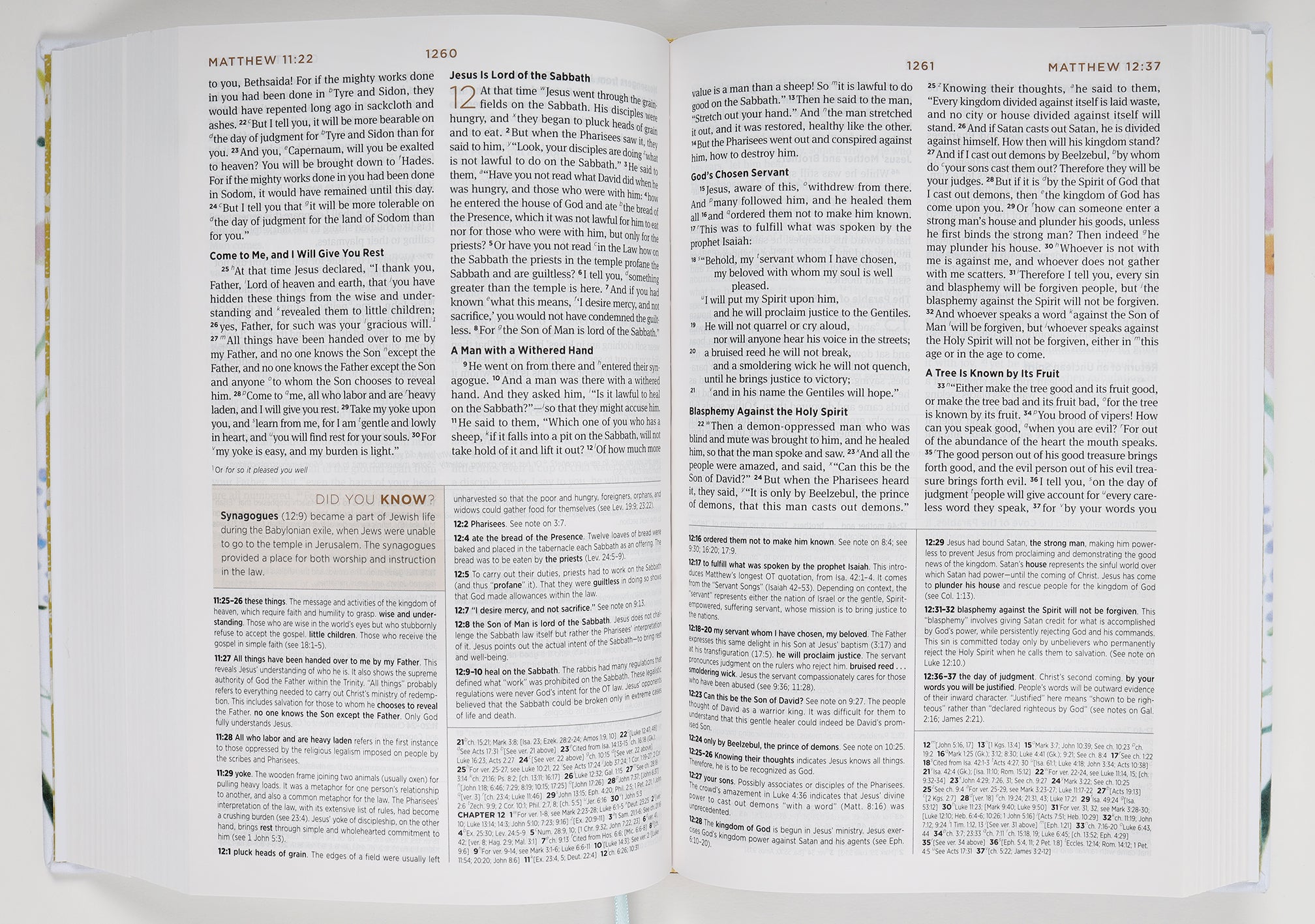ESV Student Study Bible Artist Series Lulie Wallace, Sunburst