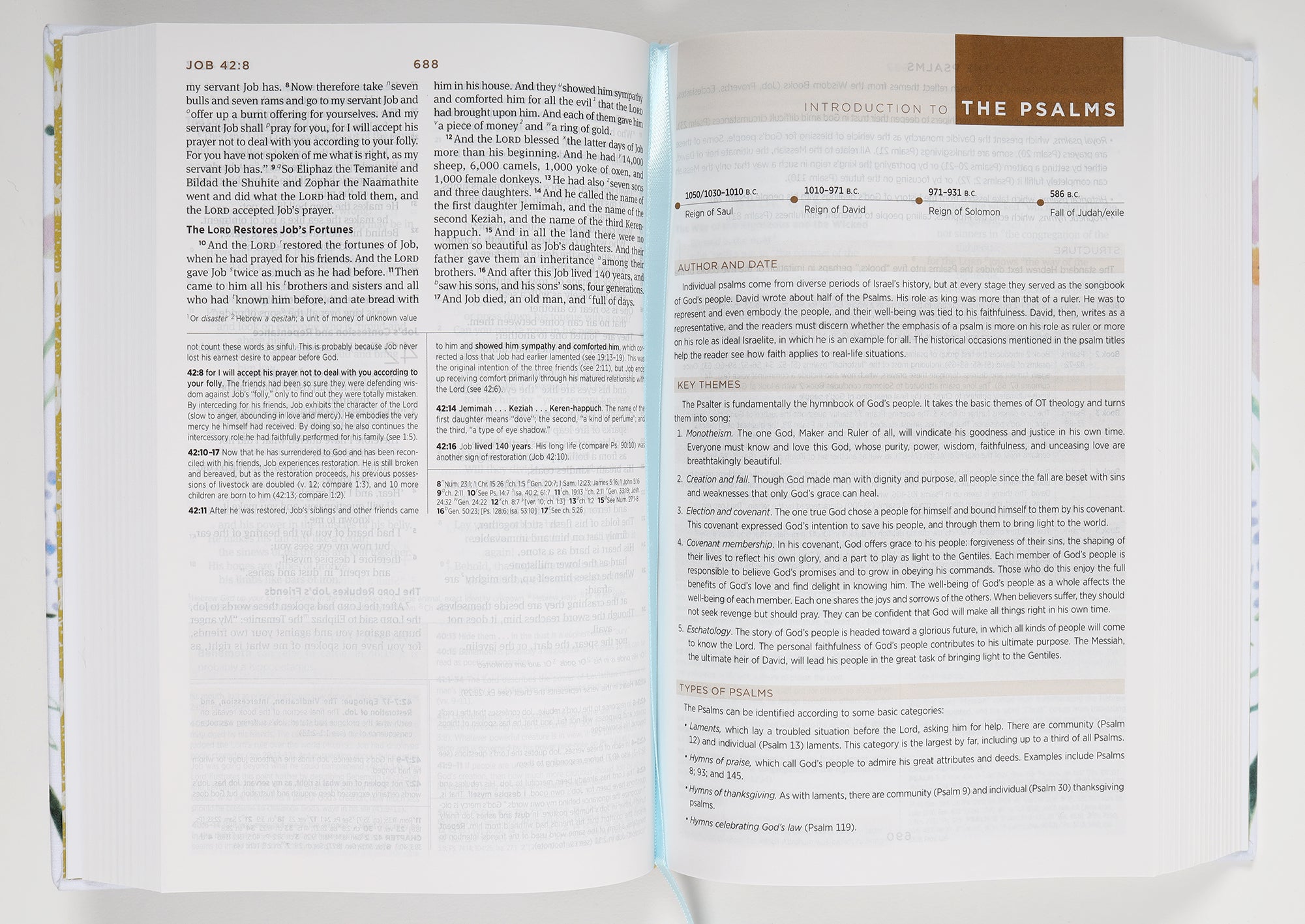 ESV Student Study Bible Artist Series Lulie Wallace, Sunburst