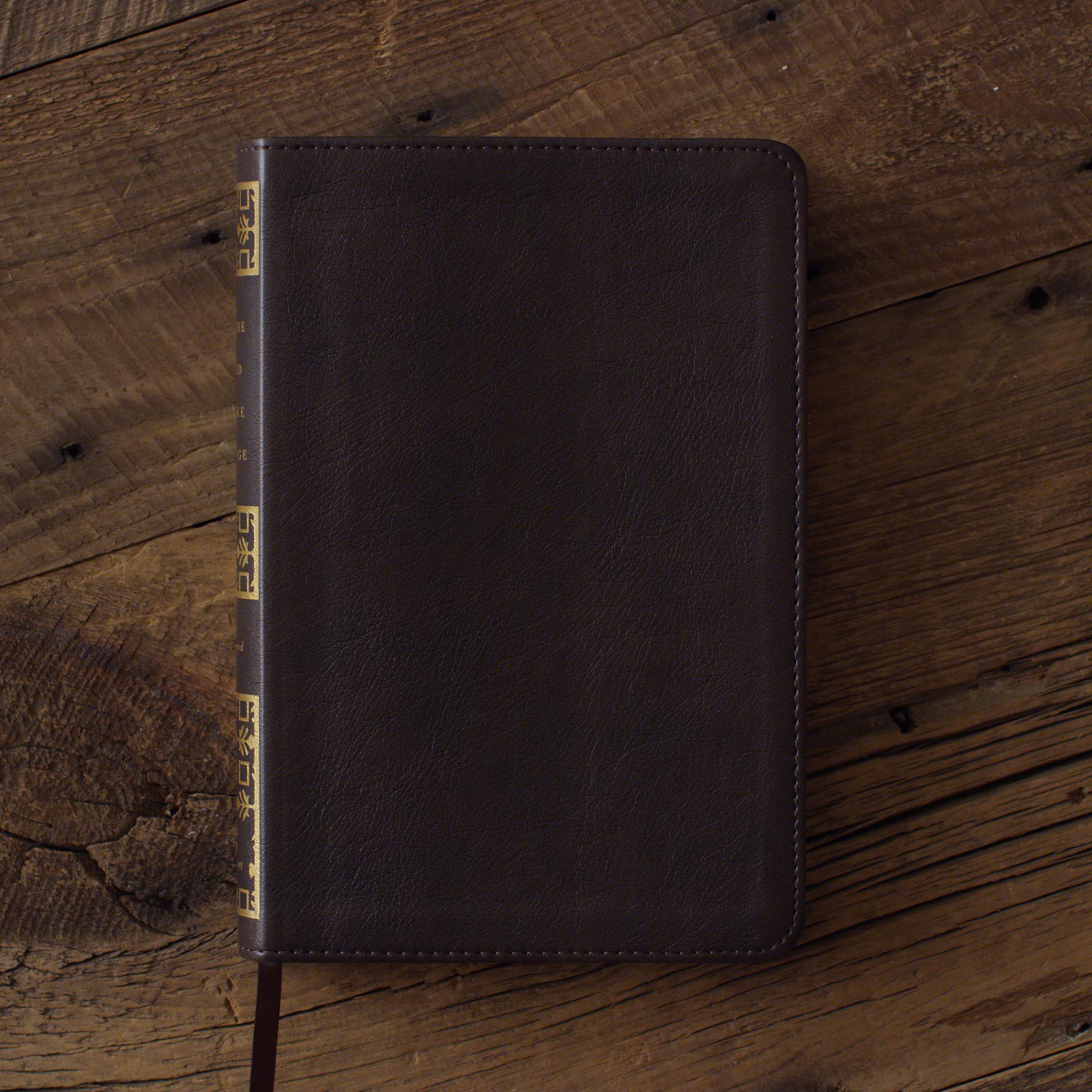 In the Lord I Take Refuge: 150 Daily Devotions Through the Psalms (Gift Edition)