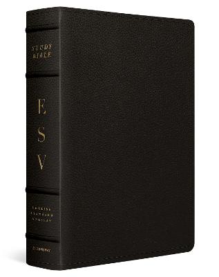 ESV Study Bible Large Print Buffalo Leather Deep Brown