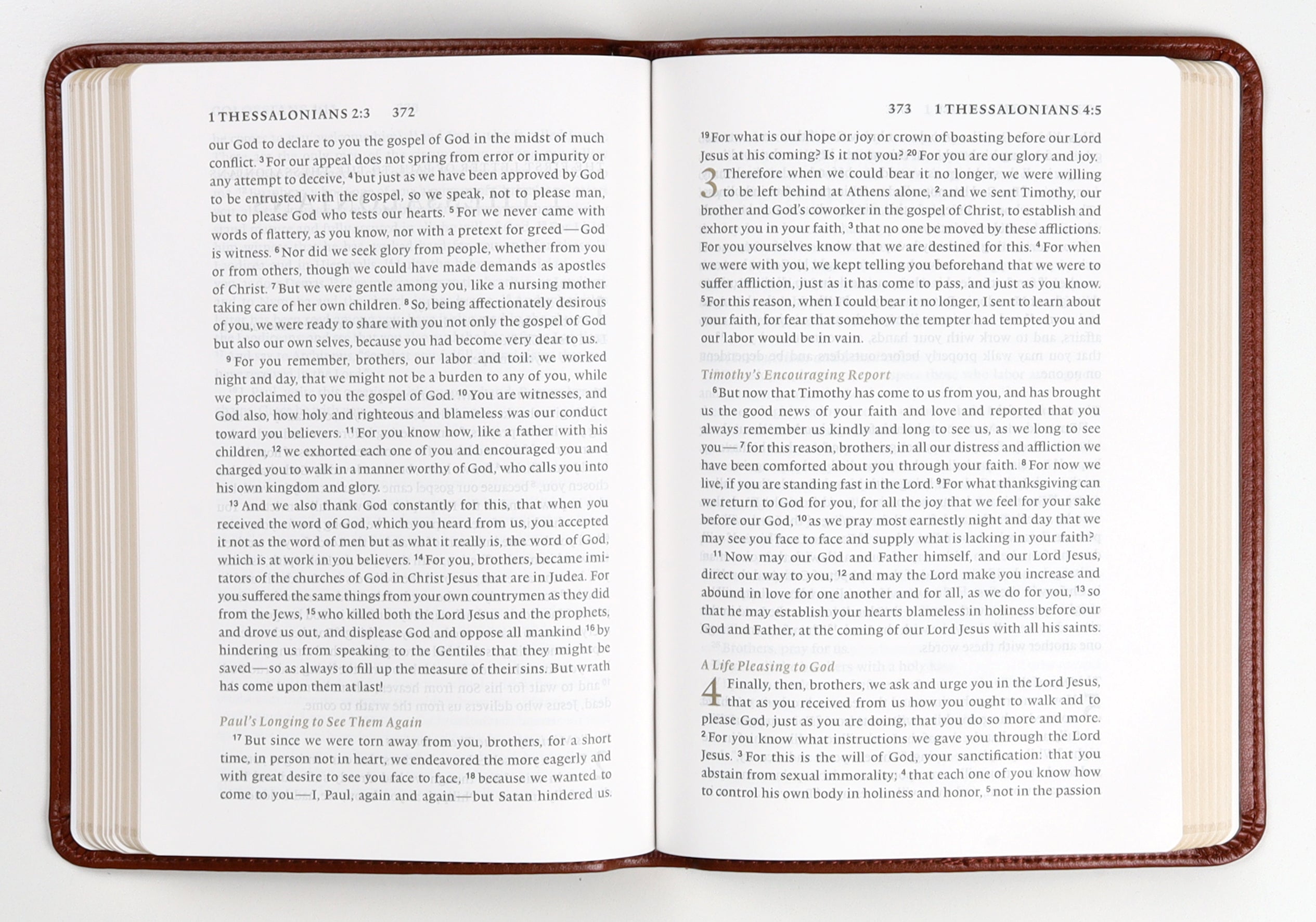ESV New Testament With Psalms and Proverbs Chestnut (Black Letter Edition)