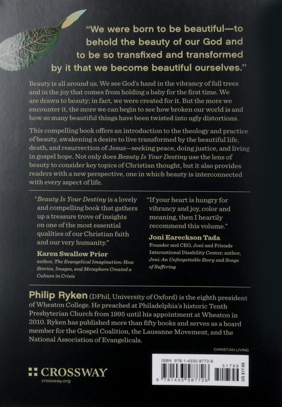 Beauty is Your Destiny: How the Promise of Splendor Changes Everything