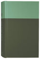ESV Teen Study Bible Blush/Caramel