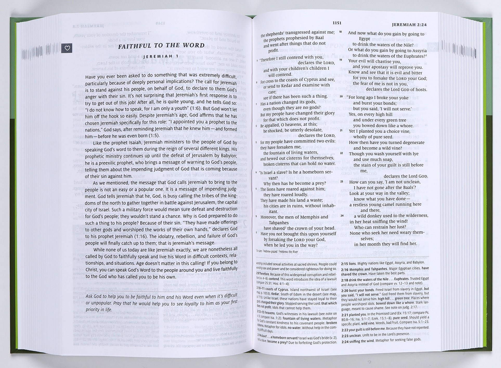 ESV Teen Study Bible Blush/Caramel