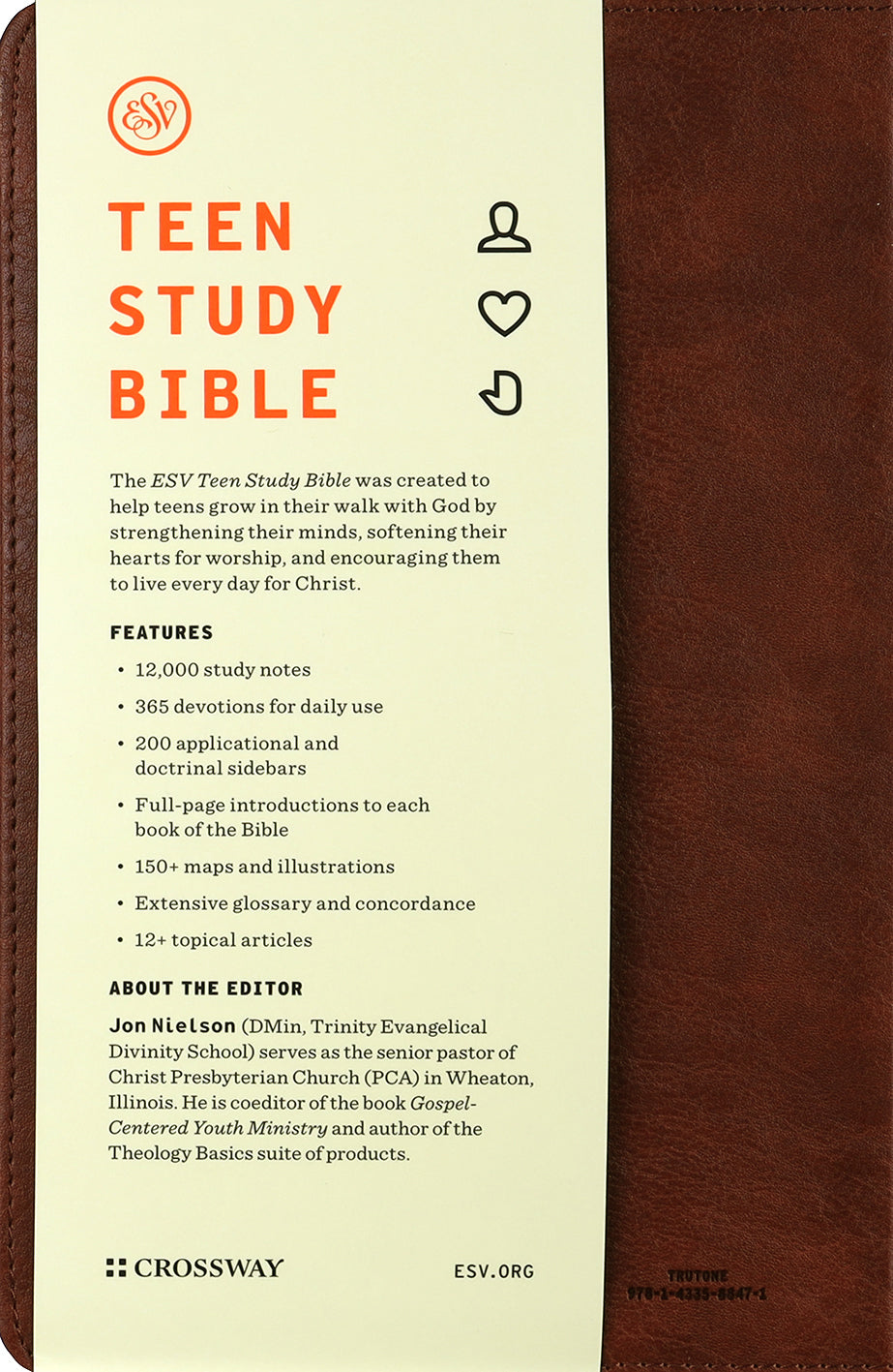 ESV Teen Study Bible Slate/Umber