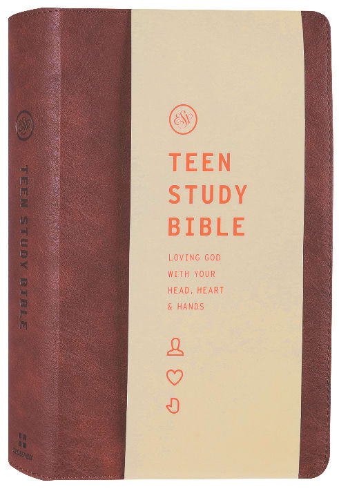 ESV Teen Study Bible Slate/Umber
