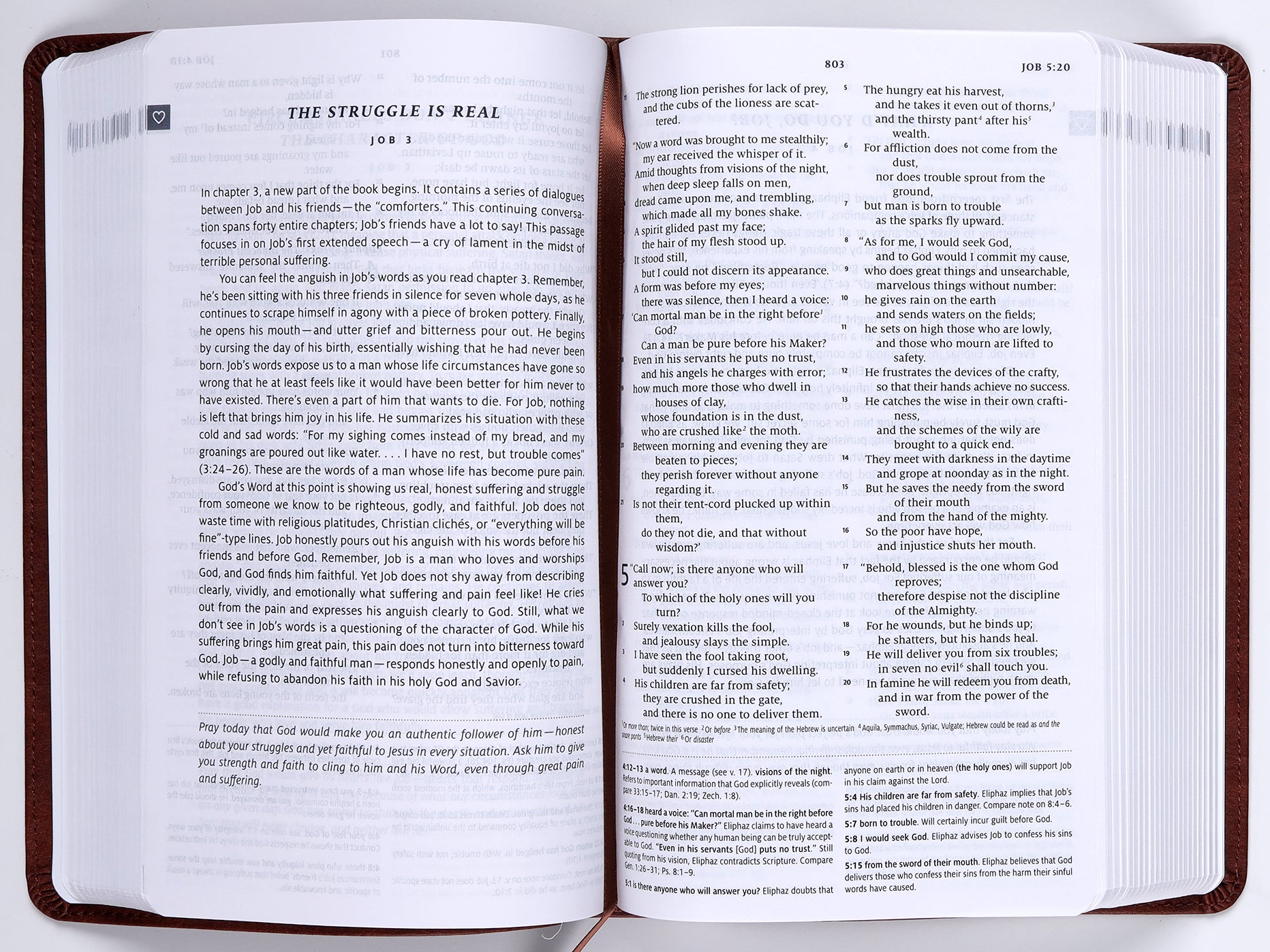 ESV Teen Study Bible Slate/Umber