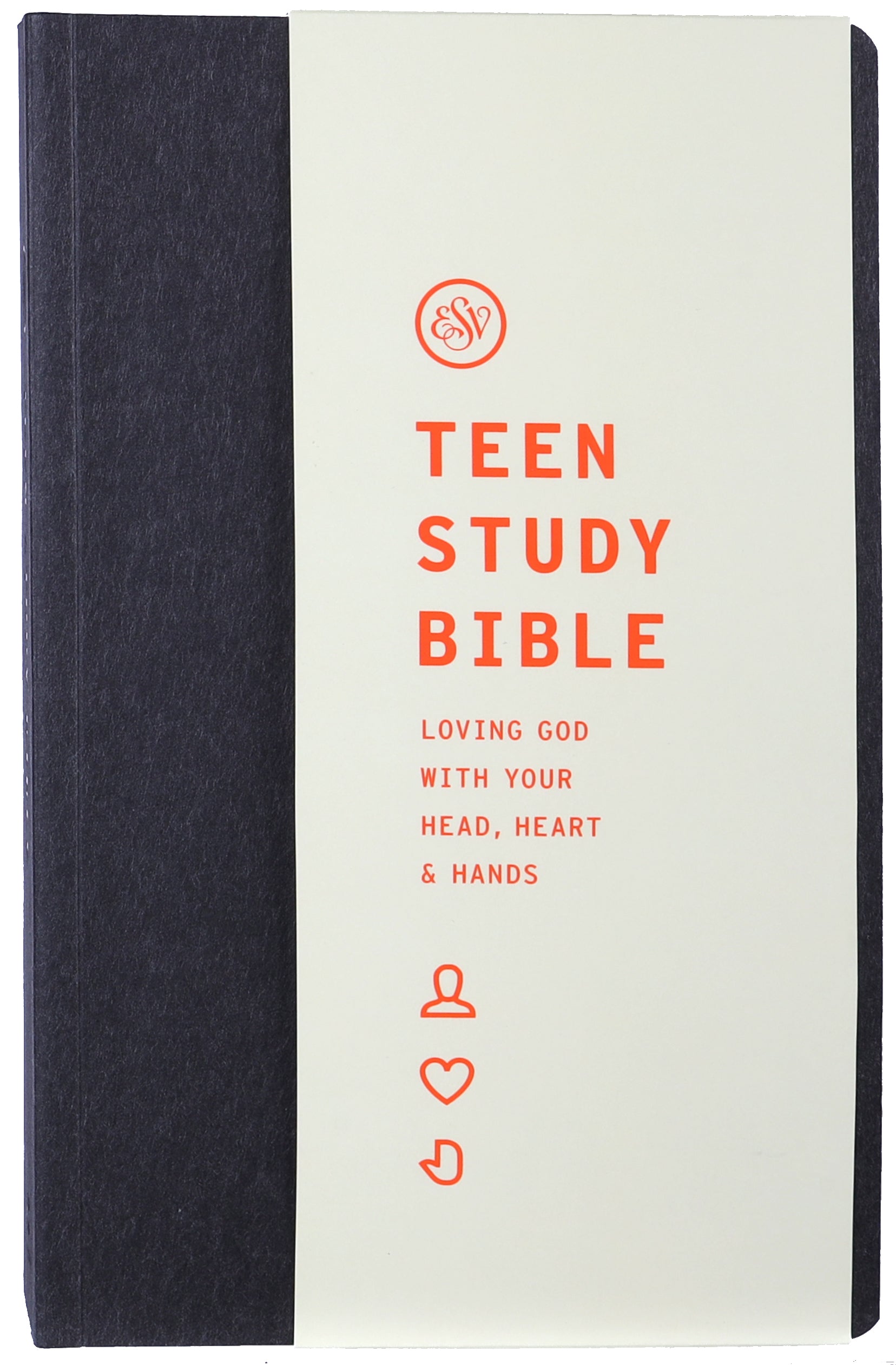 ESV Teen Study Bible
