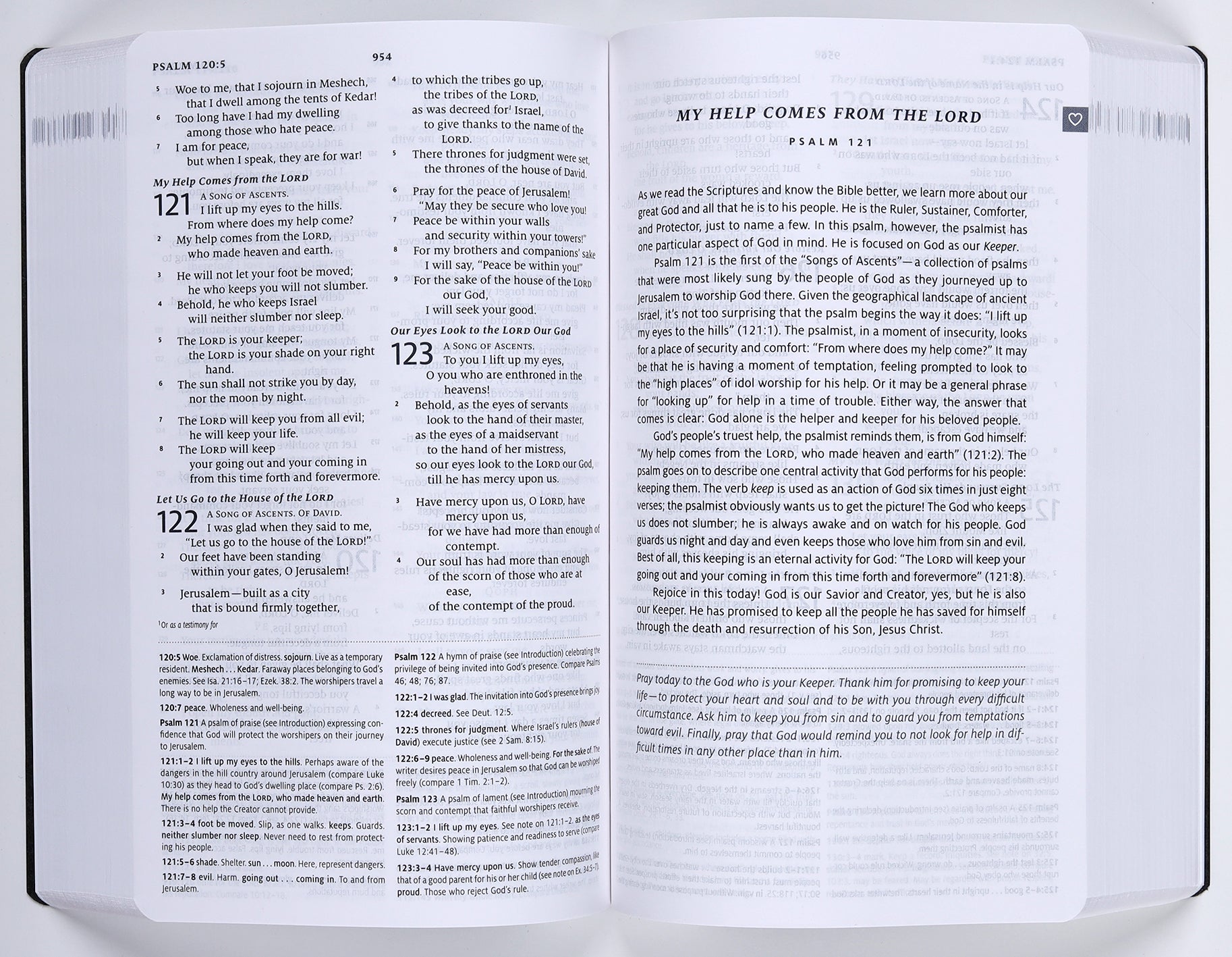 ESV Teen Study Bible