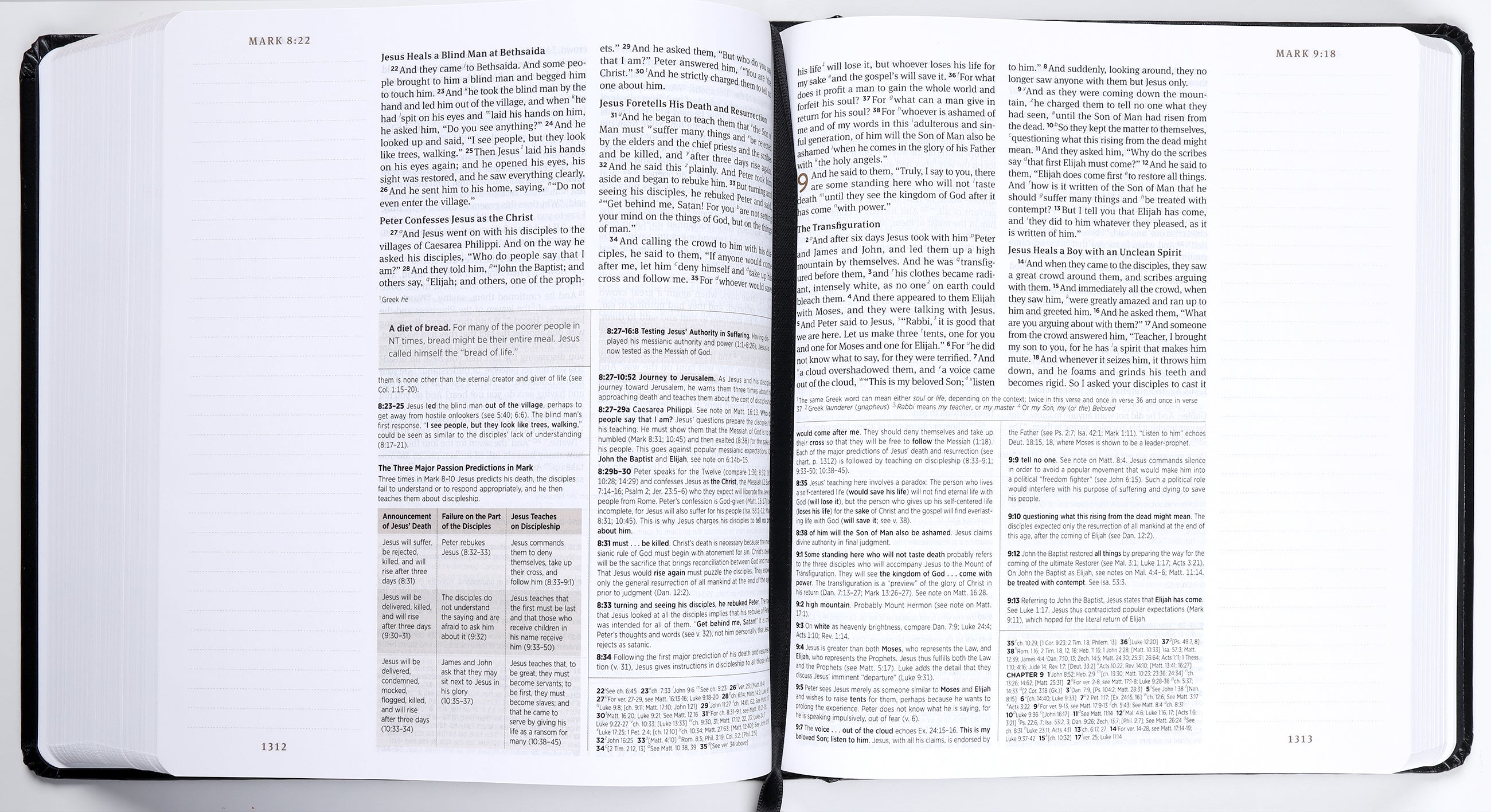 ESV Journaling Study Bible Black