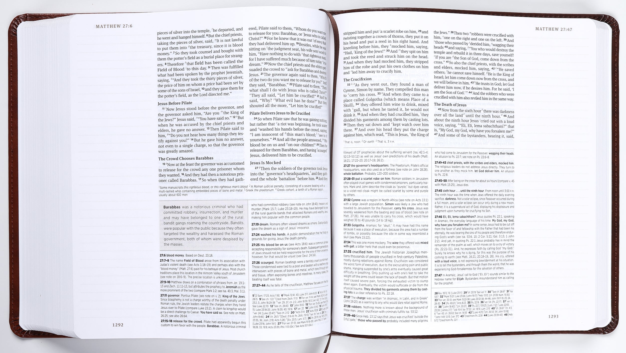 ESV Journaling Study Bible Brown/Chestnut Timeless Design