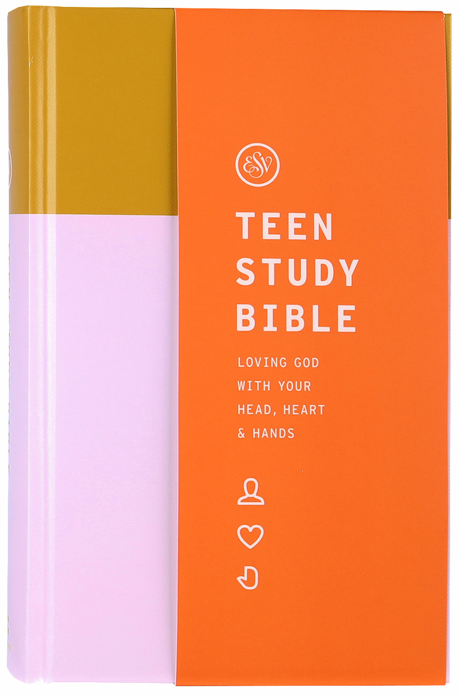 ESV Teen Study Bible Desert Sun