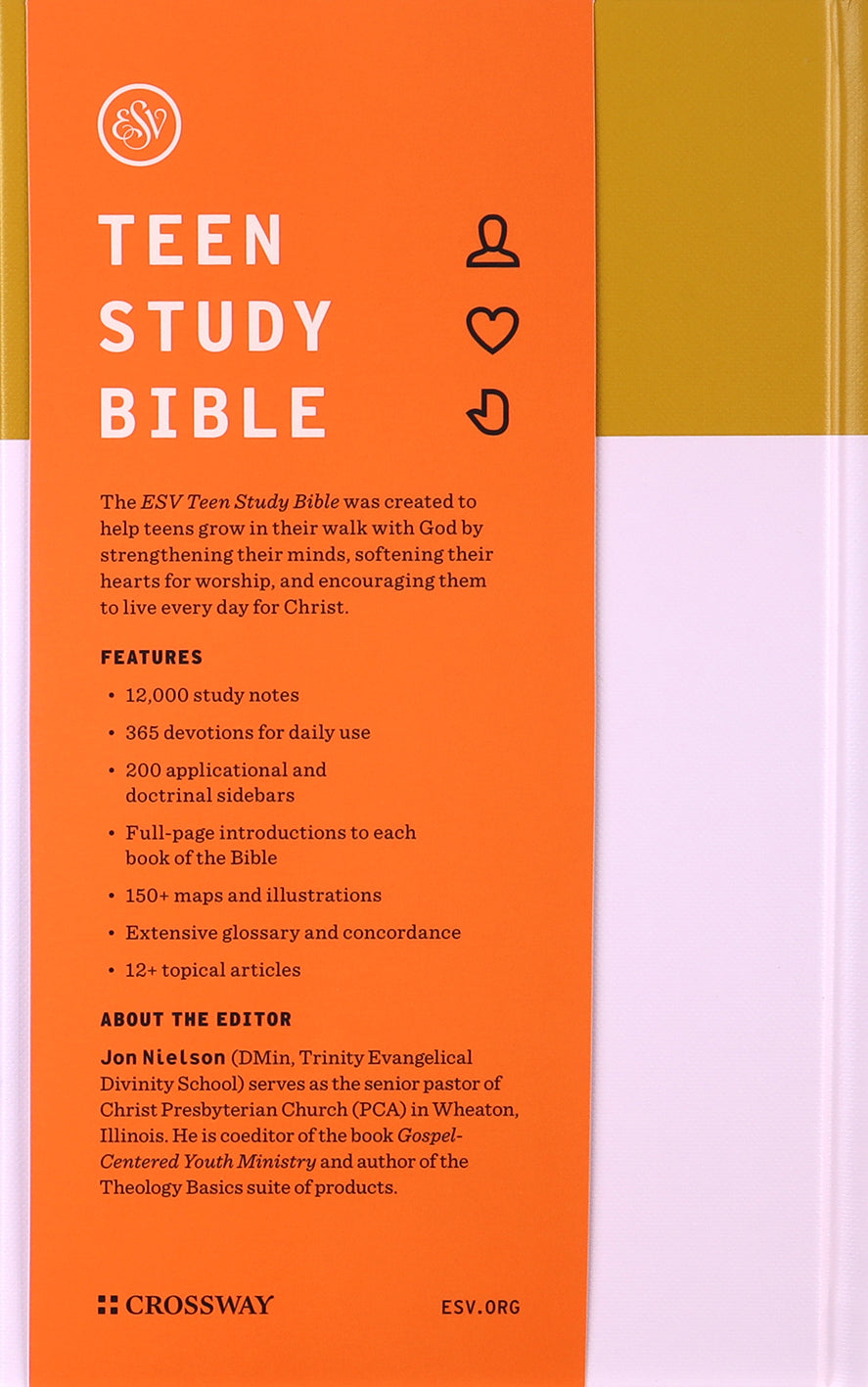 ESV Teen Study Bible Desert Sun