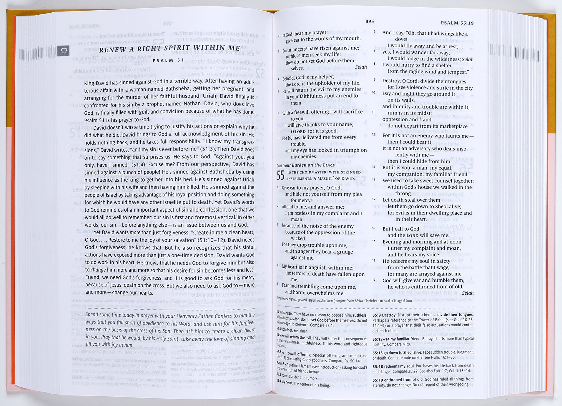 ESV Teen Study Bible Desert Sun