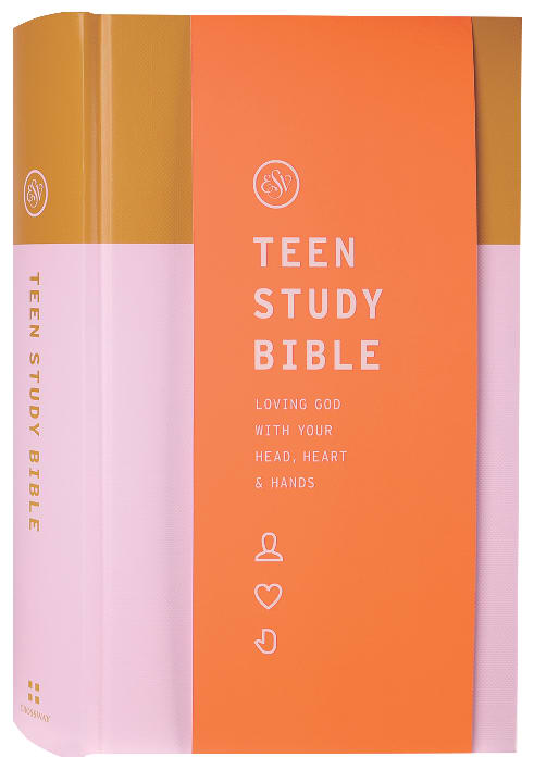 ESV Teen Study Bible Desert Sun