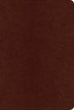ESV Systematic Theology Study Bible, Chestnut (Black Letter Edition)