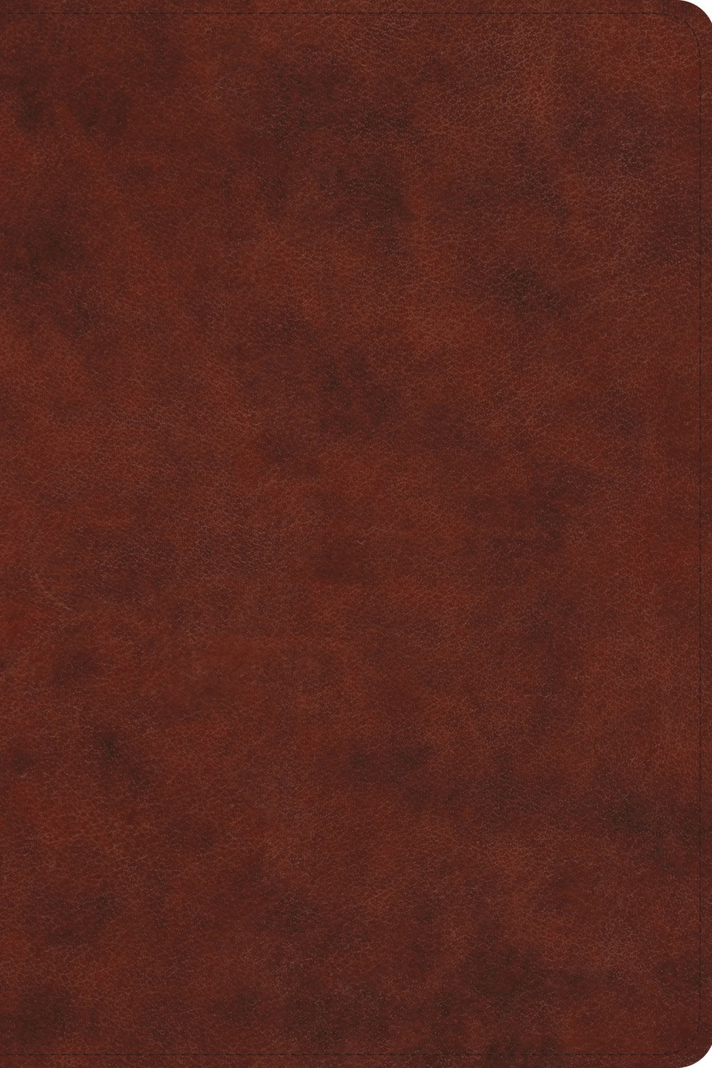 ESV Gospel Transformation Study Bible: Christ in All of Scripture, Grace for All of Life® (Chestnut)