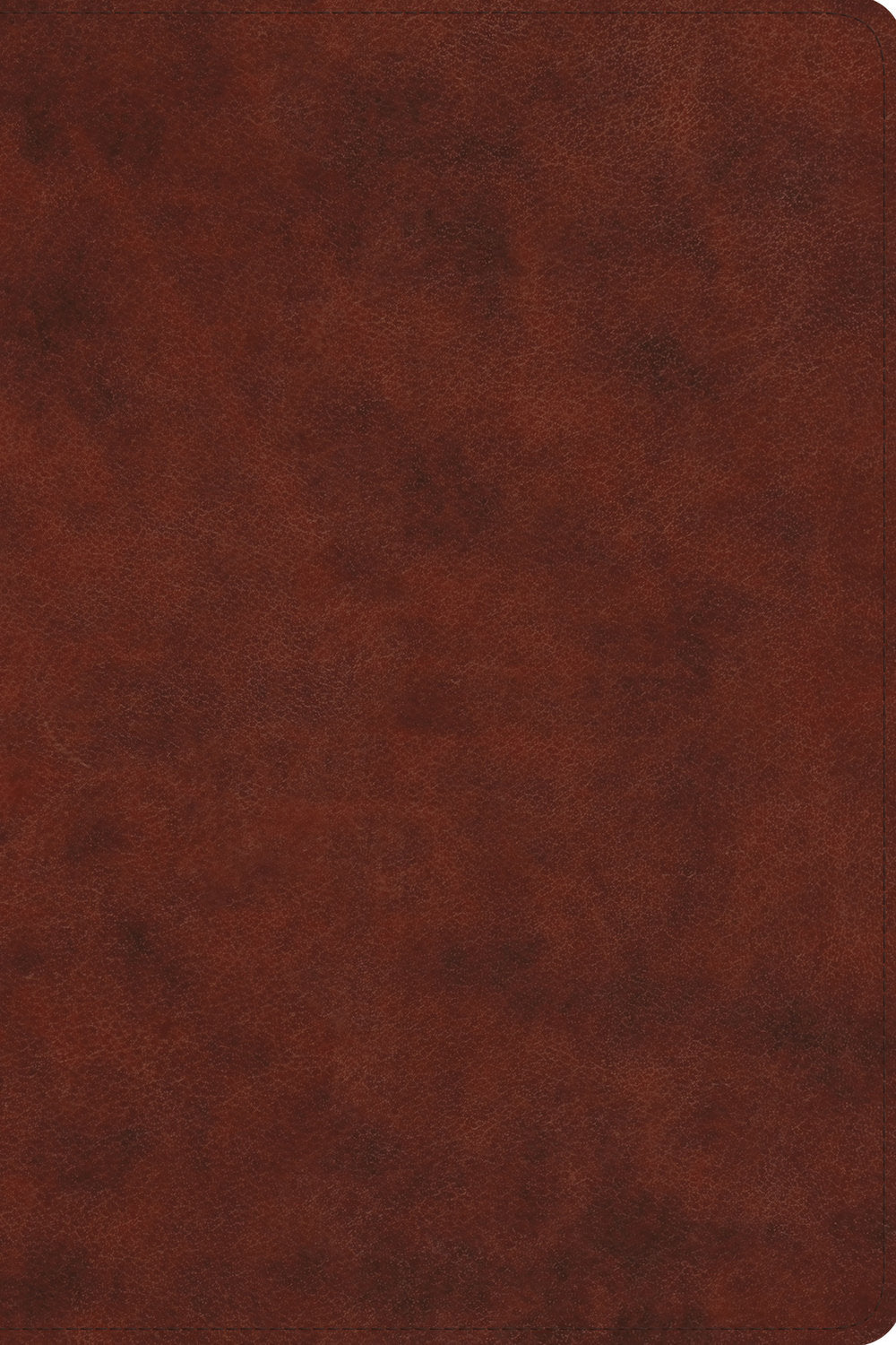 ESV Everyday Gospel Bible: Connecting Scripture to All of Life, Chestnut