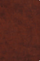ESV Everyday Gospel Bible: Connecting Scripture to All of Life, Chestnut